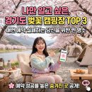 구봉산오토캠핑장 나인힐스 | 경기도 벚꽃 캠핑장 예약 추천 Top3 (금은모래, 나인힐)