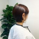 본헤어스튜디오 이미지