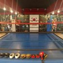 드림복싱클럽 이미지