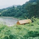 고사리맨션이 이미지