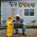 선해농장 | 칠곡 꿀잼농장 아이랑 체험 후기