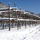 황태마을 이미지