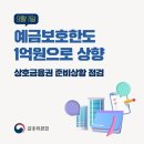 예금보호법 한도상향 이미지