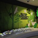 가야산역사신화테마관(지하1층) 이미지