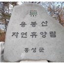 홍성 용봉산 - 밴댕이찌개 이미지