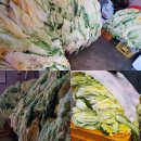 터줏골송정점 이미지