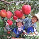 영근농장 이미지