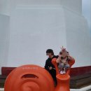 오동도해물탕 이미지