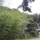 스토리텔링 역사 이미지