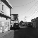 용호농장 이미지