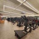 리스펙짐 행신점 이미지