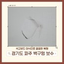 용산-현장-1697 | 경기도 파주 벽구멍 보수 | 석고보드 이식으로 깔끔한 복원