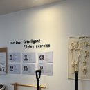 닛시 | 성복동 필라테스 추천 :: 닛시필라테스 방문 후기