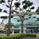 제주관광공사 티스토리
