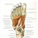 정메디케어 이미지