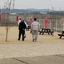 워킹애니멀스쿨 이미지