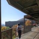 주식회사 나인스톤 | [충남 제천] 포레스트리솜 / 해브나인스파 / 티켓구매팁 / 시설정보 , 산속 힐링스파 이용후기