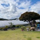 빙수네민박 이미지