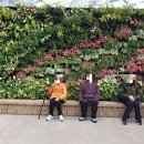 이동농협주간보호센터 이미지