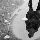 사주명리학 이미지