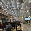 [문화여행] 제주 나 혼자 간다 | 제주 혼자 여행 첫날 루트 | 렌트·맛집·힐링 코스 (25.11.25)