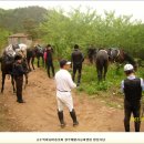 훼밀리승마클럽 이미지