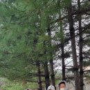 가평베이유키즈풀빌라펜션 이미지