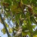 현재농장 이미지