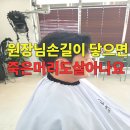 차오헤어