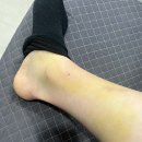 성모튼튼365정형외과의원 이미지