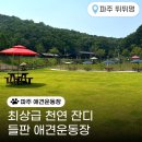 뛰뛰멍 네이버블로그