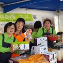 여장부(1농장) 이미지