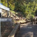 용마산 자락길 코스 이미지