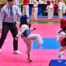 국가대표 바른 태권도장 이미지