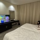 아이와 함께한 코타키나발루 여행 ① 샹그릴라 탄중아루 후기부터 까왕 반딧불이 투어까지