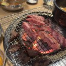 오늘도한우월성 이미지
