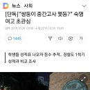 언냐들 걍 부엉이바위가자ㅜㅡㅠ 이미지