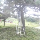 초정농장 이미지