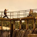 기묘한 여행 이미지