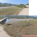 ①(새말ic 1320坪 1억1천万) 물가 최저가 귀농투자땅 ②섬강변 남향 구옥2채 655평 1억2천 이미지