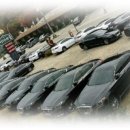 이다의숲 이미지