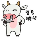 신기복짬뽕 이미지