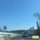 기숙사단지앞 | 용인 남사화훼단지 '남사모아농원', 식집사 초보의 레드베리 다육이 캄파넬라 구매 후기