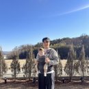 태현개발 | 세계 최초 듀얼 다이얼핏 아기띠!! 정말 편한 허그파파 다이얼핏 max 아기띠 추천해요