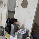 개미애견미용실 | 두피에서 빛이 난다? 로드28 클리닉 솔직 후기