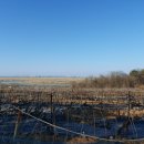 송산면 풋살장 이미지