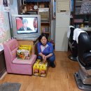 웰빙이용소 Daum카페
