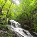 광해약국 이미지