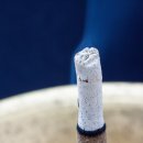 구미시추모공원 이미지