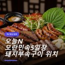 오늘돼지 Daum카페